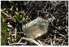 Scenics003 Discarded bottle, along Highway 1