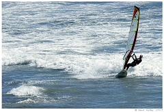Scenics015
