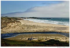 Scenics020
