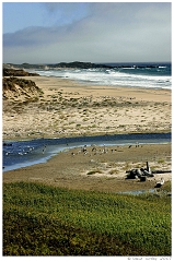 Scenics021