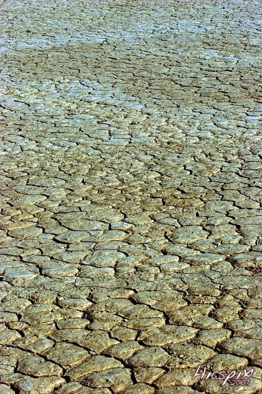 SuperShootsVegas095 Dry Lakebed, Primm, NV    © Dave Hickey