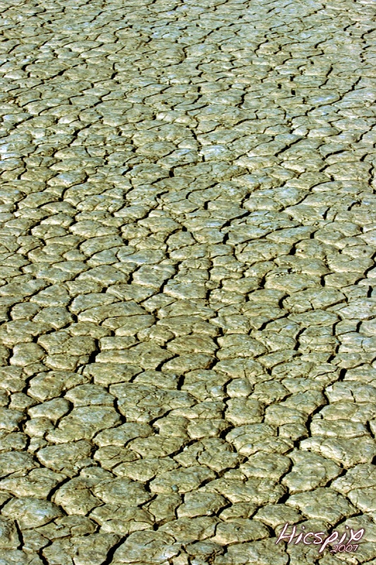 SuperShootsVegas098 Dry Lakebed, Primm, NV    © Dave Hickey