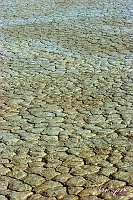 SuperShootsVegas095