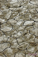 SuperShootsVegas103 Dry Lakebed, Primm, NV    © Dave Hickey