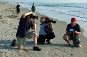  BTS -- Shoot, shoot, chimp