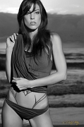  Model: Terrace