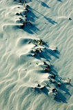 _MG_3658