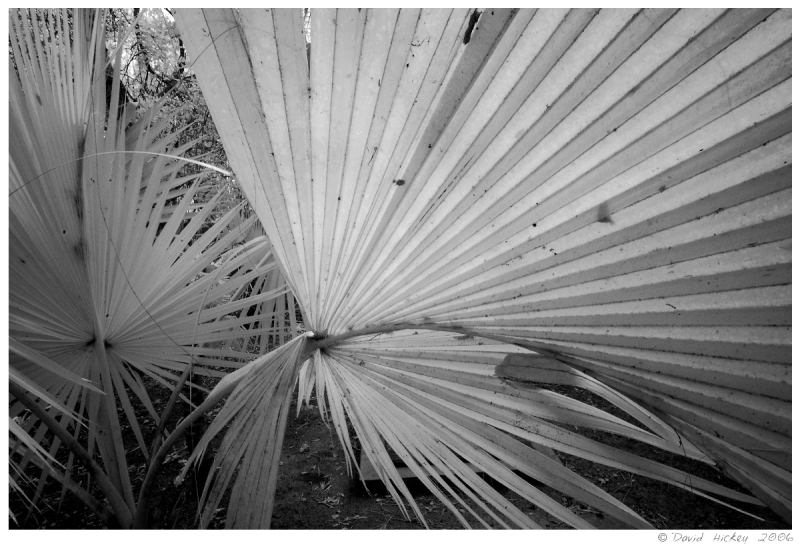 tomir04 Las Retamas property