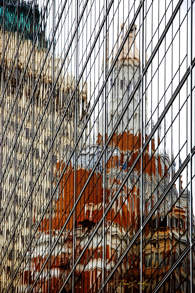 _MG_4418