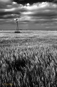 _MG_5228