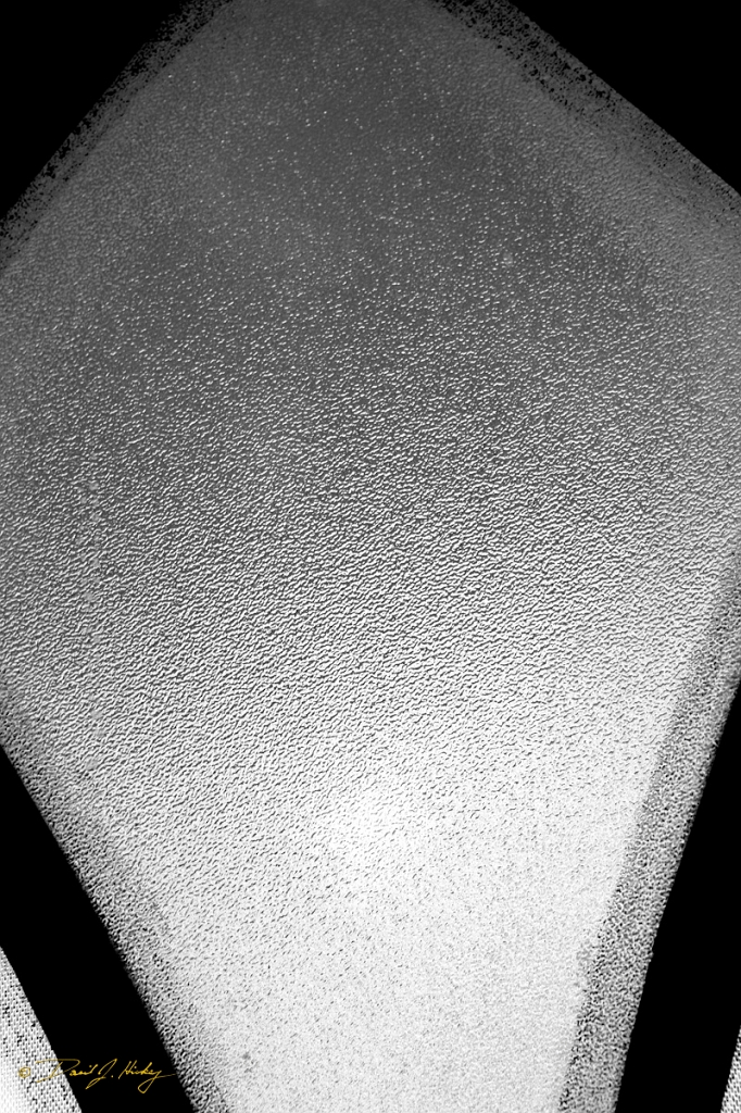 _MG_2321