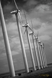  Windmills, Guymon, OK