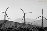  Mountain View III Wind Power Project, Palm Springs, CA