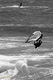  Wind & Kite Surfers, Santa Cruz, CA