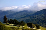 Coastal Fog, east of Halfmoon Bay, CA