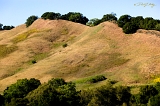  Peggy's Hills, Briones, CA