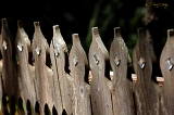  Fence, Tomales, CA