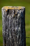  Post, Point Reyes, CA