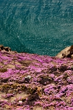  Cliff, Point Reyes, CA