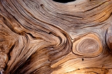  Wood, Lassen National Forest, CA