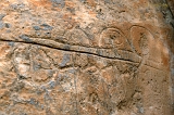 Petroglyphs, off Highway 50, NV