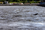 JT's fishing hole ~ Pleasant Hill, IL