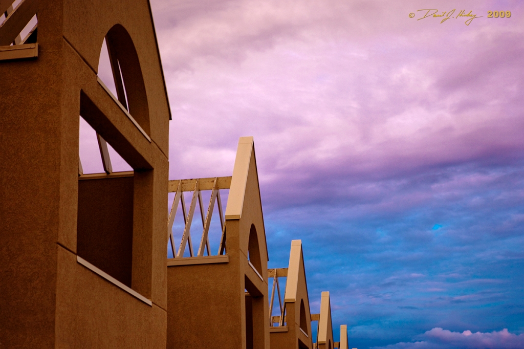 _MG_9784