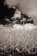  Bloomington windmills