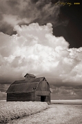  Bloomington barn