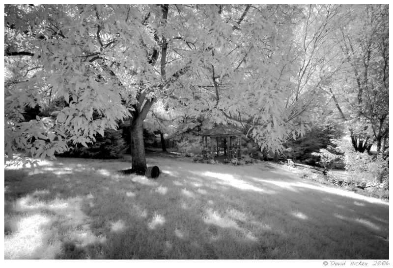 Infrared02 Glenn's farm in infrared