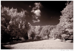 Infrared01 Glenn's farm in infrared