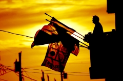 flags