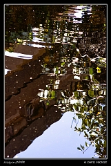  Reflecting Pool at Botanica with DeAnn Clark, Wichita, KS