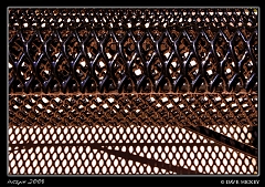 Bench at Botanica with DeAnn Clark, Wichita, KS