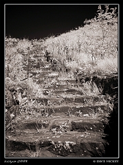 DSC01066