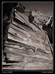 DSC01071