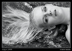  Model: Heather