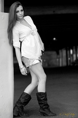  Model: Jess