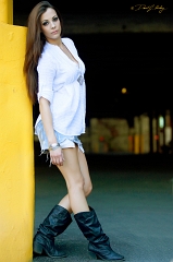  Model: Jess