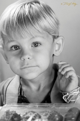  Gavin
