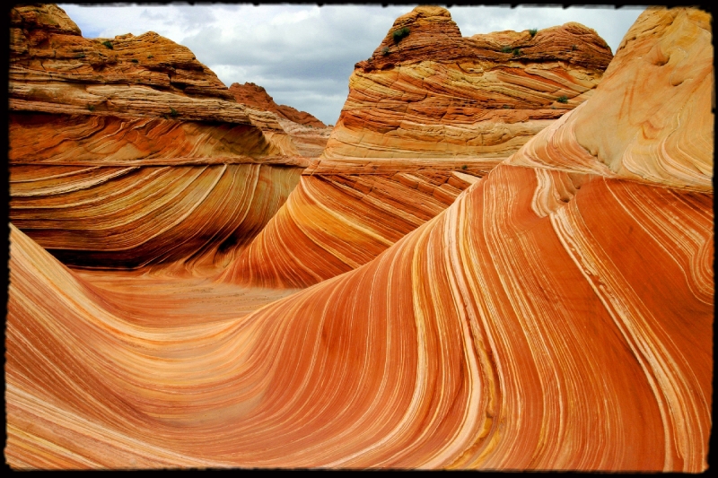 Wilderness20 Paria Wilderness, AZ/Utah border   � Dave Hickey