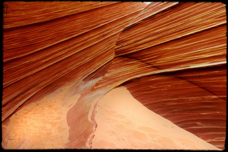 Wilderness21 Paria Wilderness, AZ/Utah border   � Dave Hickey