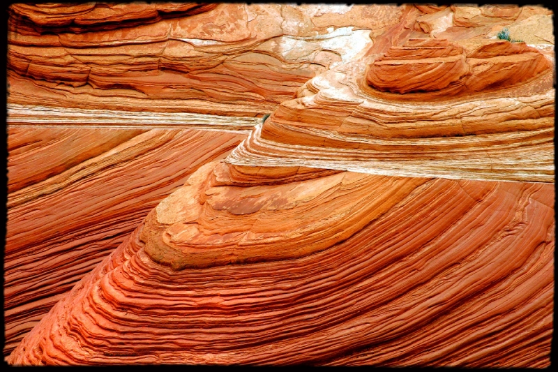 Wilderness22 Paria Wilderness, AZ/Utah border   � Dave Hickey