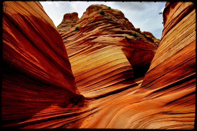 Wilderness24 Paria Wilderness, AZ/Utah border   � Dave Hickey
