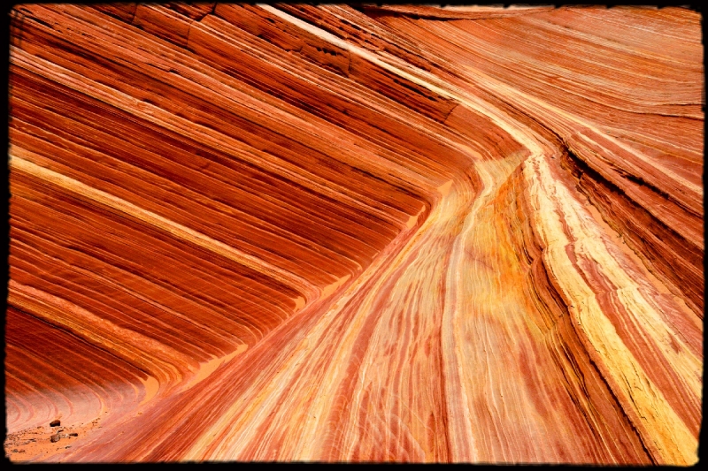 Wilderness27 Paria Wilderness, AZ/Utah border   � Dave Hickey