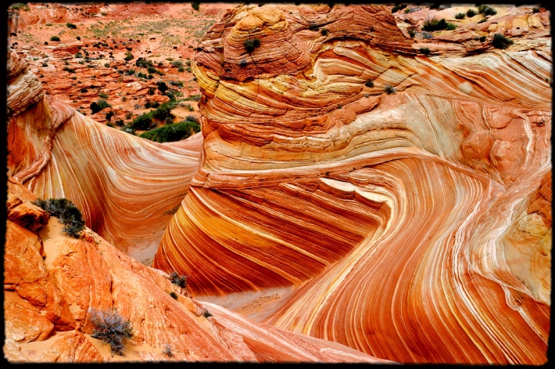 Wilderness28 Paria Wilderness, AZ/Utah border   � Dave Hickey