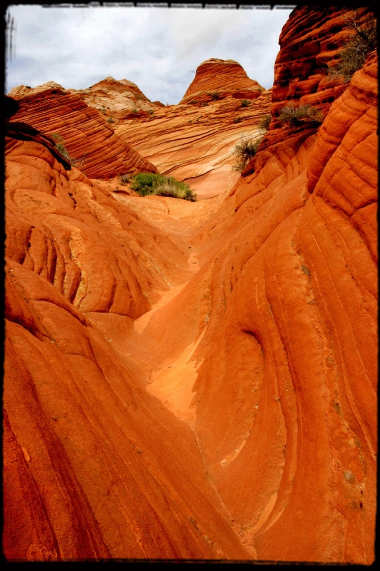 Wilderness36 Paria Wilderness, AZ/Utah border   � Dave Hickey