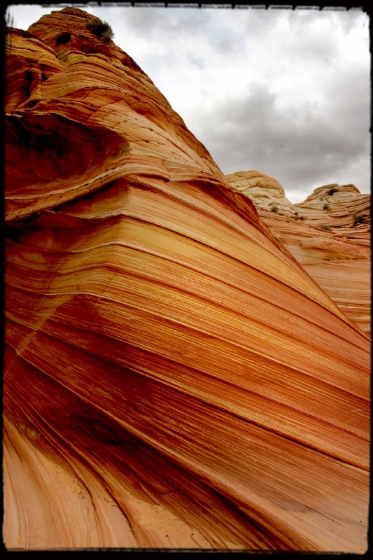Wilderness38 Paria Wilderness, AZ/Utah border   � Dave Hickey