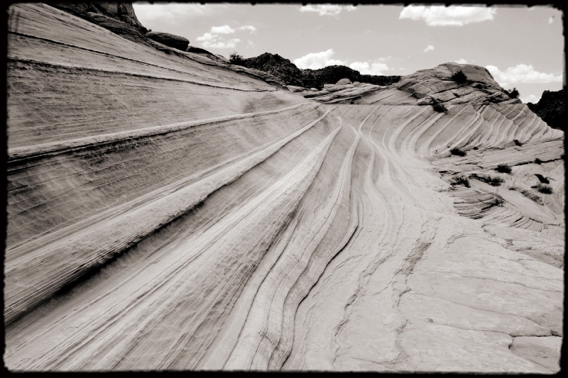 Wilderness41 Paria Wilderness, AZ/Utah border   � Dave Hickey