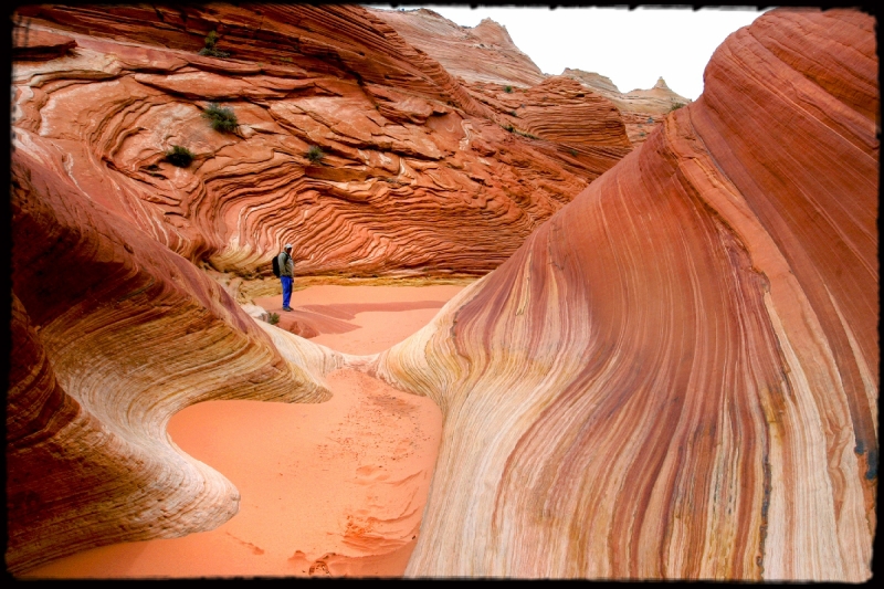 Wilderness44 Paria Wilderness, AZ/Utah border   � Dave Hickey